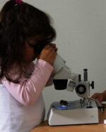 Microscop scolar stereoscopic - HPS 32 - iluminare LED - Windaus Labs Germania 2