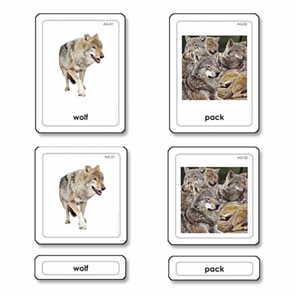 Animal Groups 3 Part Cards-produs original Nienhuis Montessori-prin Didactopia by Evertoys