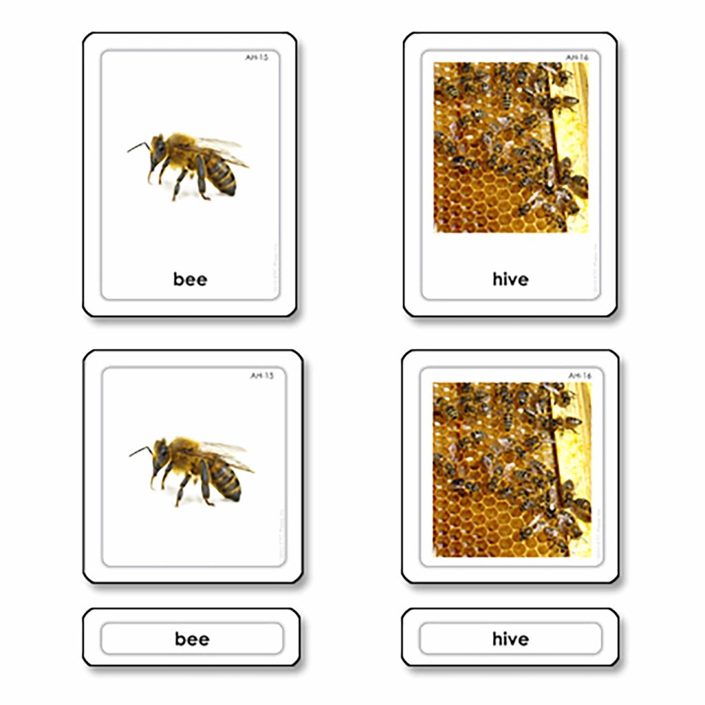 Animal Homes 3 Part Cards-produs original Nienhuis Montessori-prin Didactopia by Evertoys