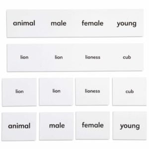 Animal Names-produs original Nienhuis Montessori-prin Didactopia by Evertoys