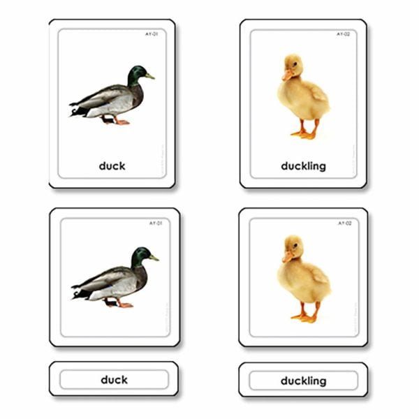 Animal Young 3 Part Cards-produs original Nienhuis Montessori-prin Didactopia by Evertoys