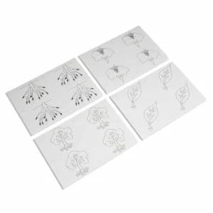 Botany Puzzle: Copy Masters-produs original Nienhuis Montessori-prin Didactopia by Evertoys