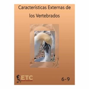 External Characteristics Of Vertebrates-produs original Nienhuis Montessori-prin Didactopia by Evertoys