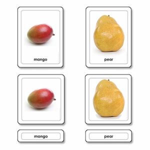 Fruits 3 Part Cards-produs original Nienhuis Montessori-prin Didactopia by Evertoys
