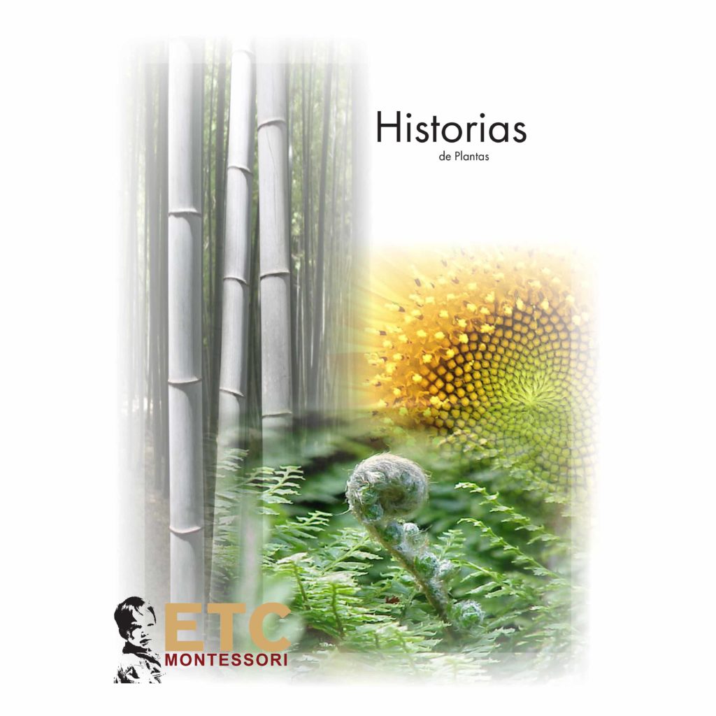 Historias-De-Plantas-produs-original-Nienhuis-Montessori-prin-Didactopia-by-Evertoys Historias De Plantas-produs original Nienhuis Montessori-prin Didactopia by Evertoys