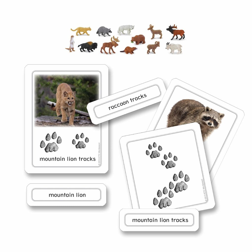 North American Animal Tracks With Objects-produs original Nienhuis Montessori-prin Didactopia by Evertoys