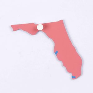 Puzzle Piece Of USA: Florida-produs original Nienhuis Montessori-prin Didactopia by Evertoys