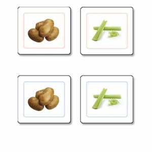 Vegetables Matching Cards-produs original Nienhuis Montessori-prin Didactopia by Evertoys