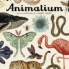 Animalium. Bun venit la muzeu. Intrarea liberă - Jenny Broom, Katie Scott. Humanitas prin Didactopia