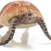 Broasca testoasa marina - Wild Life - figurine Schleich 146952