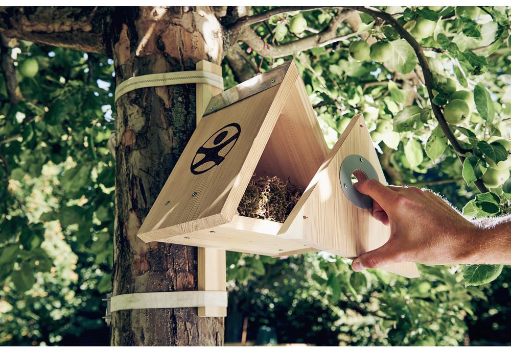 Căsuţă pentru păsări - Set bricolaj lemn - Activităţi outdoor copii Terra Kids HABA prin Didactopia