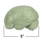 Model sectiune - Creierul uman - Learning Resources 3