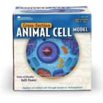 Secțiunea celulei animale - Jucărie științifică - Learning Resources