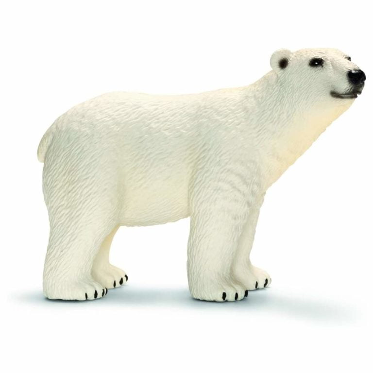 Urs Polar - Wild Life - figurine Schleich 14659