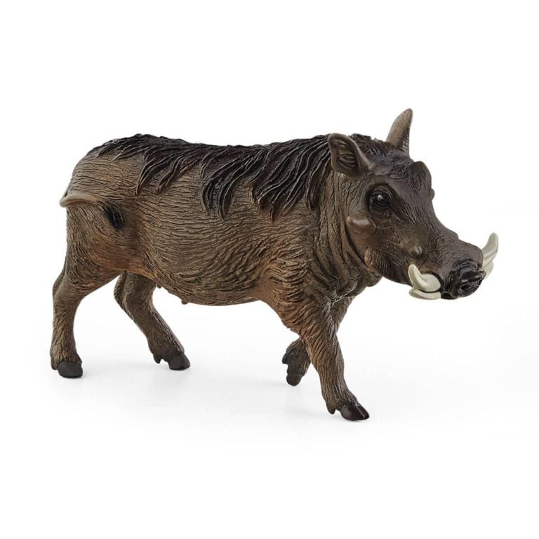 Porc cu negi 14843 - Wild Life - Figurina originala Schleich - Didactopia