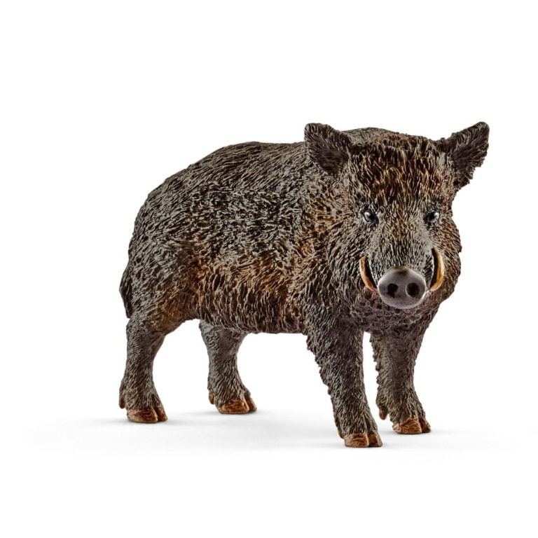 Porc mistret 14783 - Wild Life - Figurina originala Schleich - Didactopia