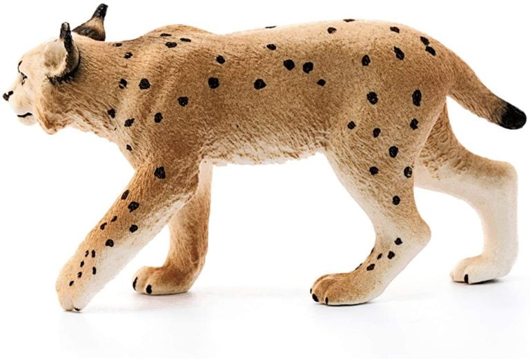 Ras-Lynx 14822 - Figurina originala Schleich - Didactopia