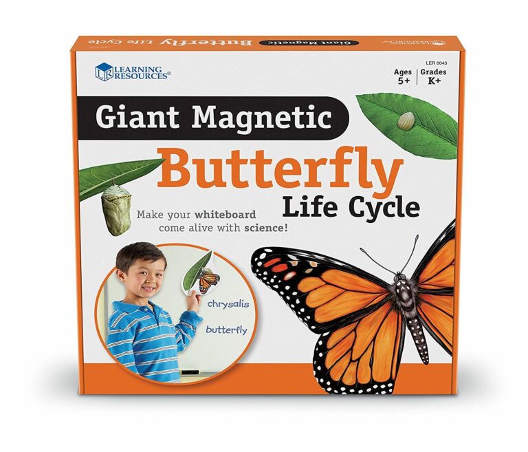 Set magnetic - Ciclul de viață al fluturelui - Learning Resources prin Didactopia 1