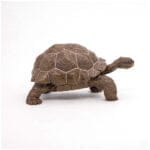 Testoasa Galapagos - Figurină originală Papo® 50161 - imagine 2
