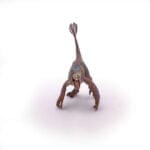 Velociraptor Cu Pene - Figurină originală Papo® 55055 - imagine 5