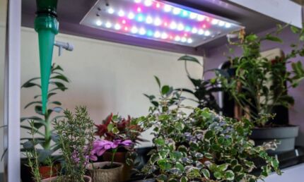 Seră cu iluminare LED - Biologie - Cresterea plantelor şi legumelor - Cca. 60 cm