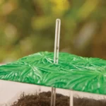 Recipient pentru observarea descompunerii biologice - Compostare - Protectia naturii