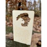 Povesti cu umbre - Animale din savana - Placute pentru a crea un joc de umbre pentru copii