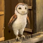Bufniță - Marionetă pentru teatru de păpuși - Original Folkmanis®
