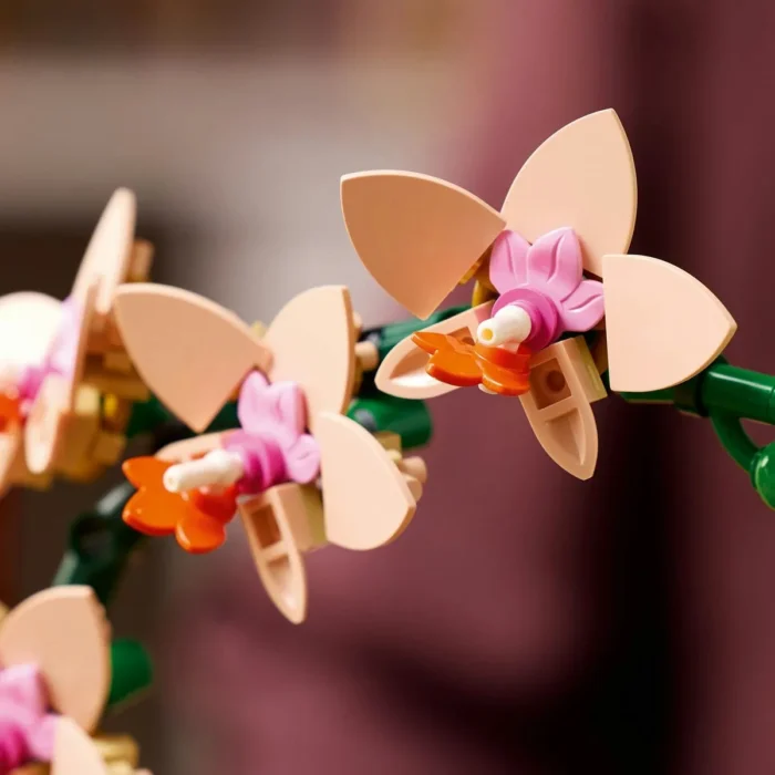 Mini Orhidee - LEGO® Botanicals 10343 • Didactopia