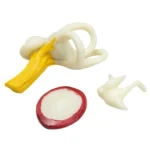 Ureche umană - Model anatomic XXL - Mărire cca. 5x - cca. 35 cm - Modular - 5 componente