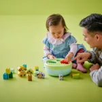 Set LEGO DUPLO SORTATOR DE FORME CASA PENTRU CATEI 10441 - prin Didactopia