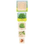 Puzzle educativ multistrat - Stejarul - Seria În pădure - 4 straturi - Puzzle de creștere - Lemn