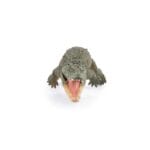 PAPO FIGURINA CROCODIL DE APA SARATA-Universul acvatic-original PAPO prin Didactopia by Evertoys