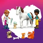 Set LEGO FRIENDS  CLINICA VETERINARA 42696 - prin Didactopia